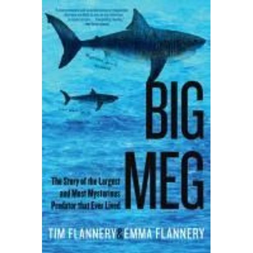 Big Meg