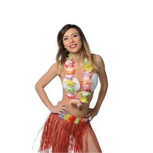 Collier Hawaïen De Bienvenue Multicolore Pour Soirée Déguisée Thème : Iles, Tahiti Hawaï