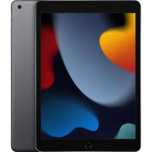 Apple - iPad (2021) - 10,2" WiFi - 256 Go - Gris Sidéral - Reconditionné - Très bon état