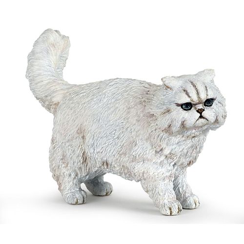 Chiens Et Chats Chat Persan