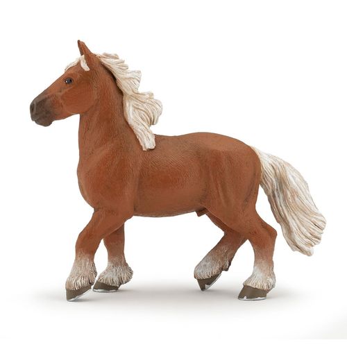 Chevaux, Poulains Et Poneys Cheval Comtois