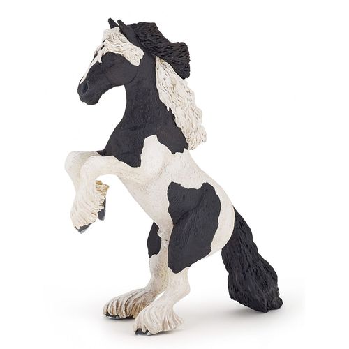 Chevaux, Poulains Et Poneys Cob Cabré