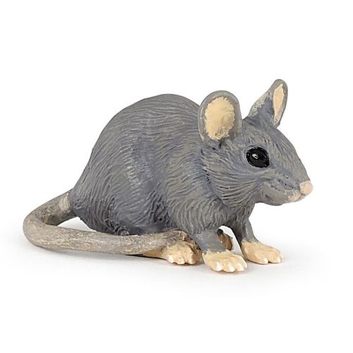 La Vie Sauvage Souris Grise