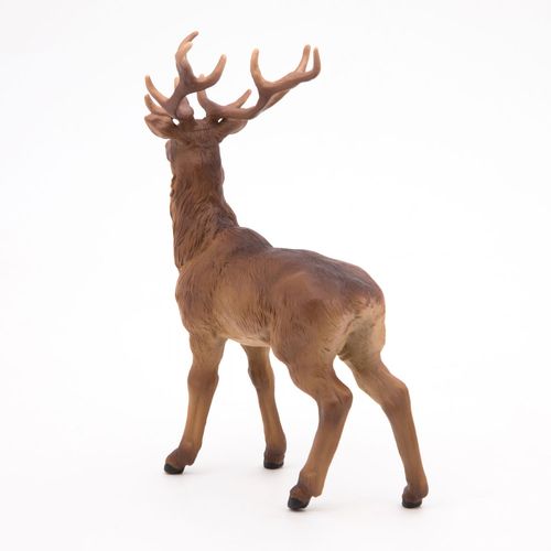 La Vie Sauvage Cerf