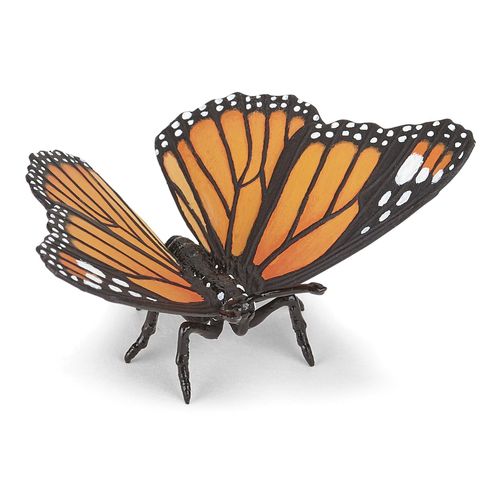 La Vie Sauvage Papillon