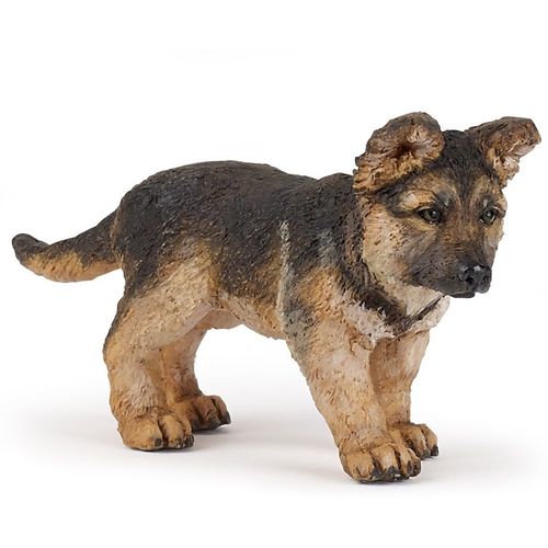 Chiens Et Chats Bébé Berger Allemand