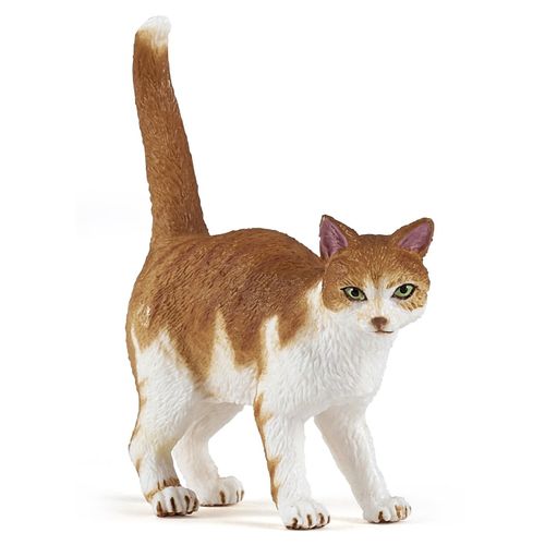 Chiens Et Chats Chat Roux