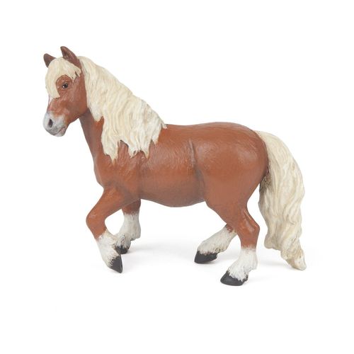 Chevaux, Poulains Et Poneys Poney Shetland