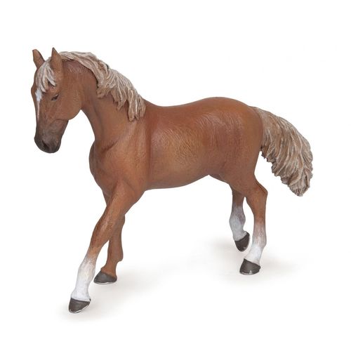 Chevaux, Poulains Et Poneys Jument Pur-Sang Anglaise Alezan