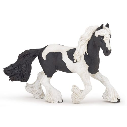 Chevaux, Poulains Et Poneys Cob