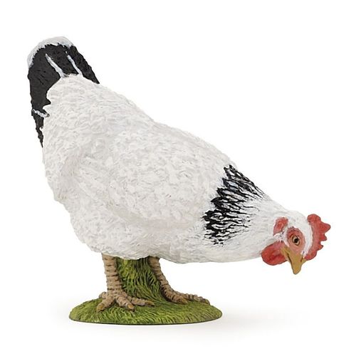 La Vie A La Ferme Poule Blanche Picorant