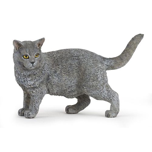 Chiens Et Chats Chartreux