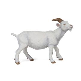 La Vie A La Ferme Chèvre Blanche