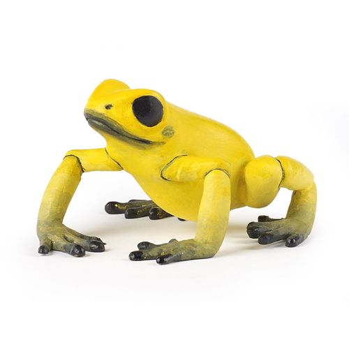 La Vie Sauvage Grenouille Équatoriale Jaune