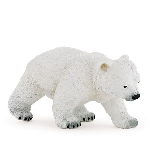 La Vie Sauvage Bébé Ours Polaire Marchant