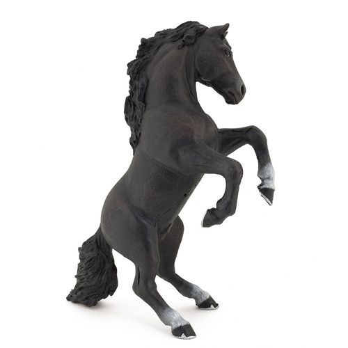 Chevaux, Poulains Et Poneys Cheval Cabré Noir