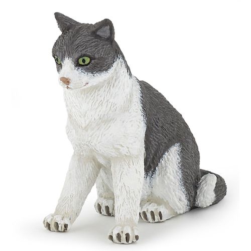 Chiens Et Chats Chatte Assise