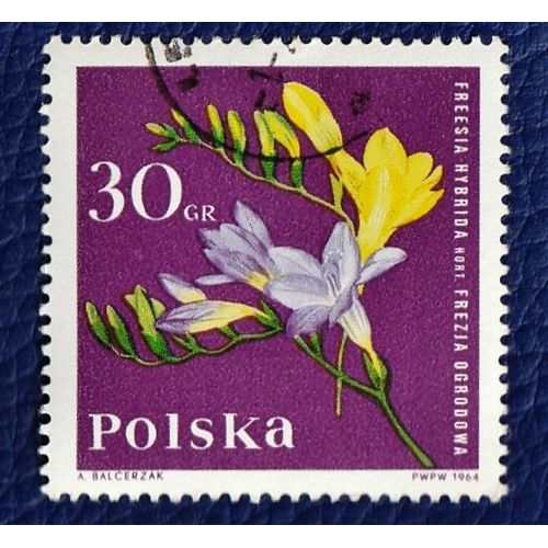 8 Timbres De Pologne "Fleurs" De 1964 À 1974