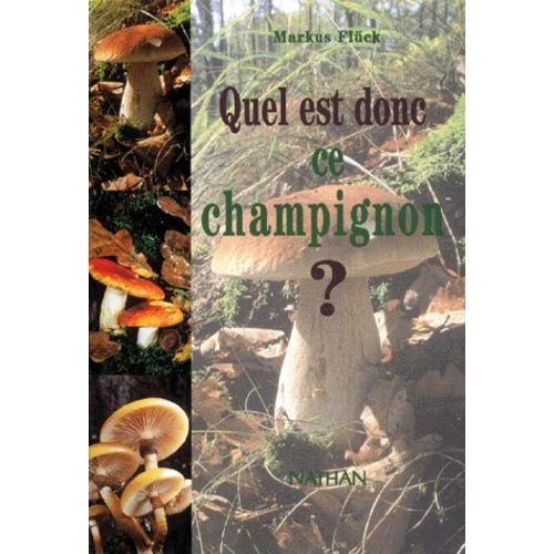 Quel Est Donc Ce Champignon ?