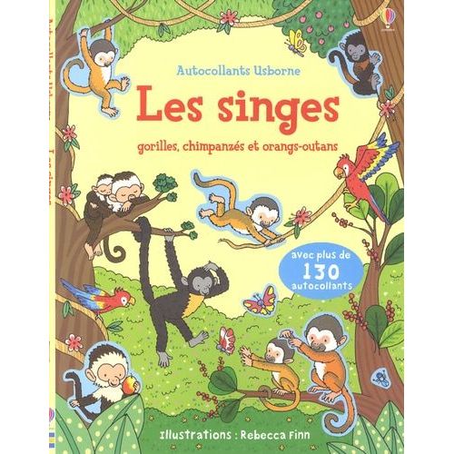 Les Singes - Gorilles, Chimpanzés Et Orangs-Outans
