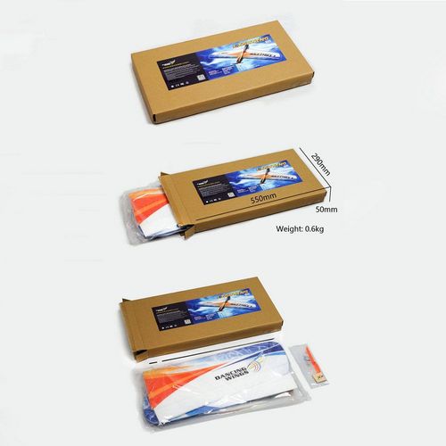 Dancing Wings Hobby E1101 : Avion jouet cadeau pour enfants