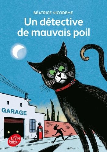 Un Détective De Mauvais Poil