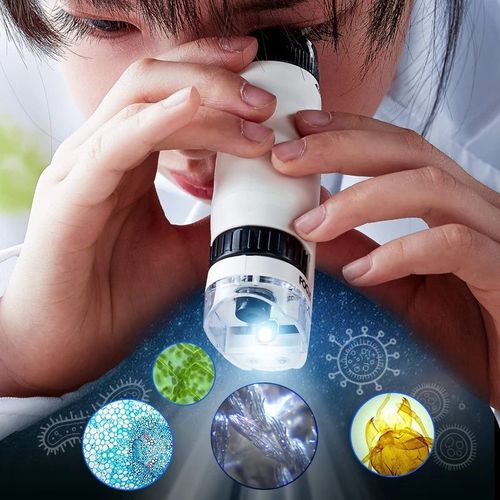 Microscope D'extérieur Portable À Ressort : Jouet D'expérimentation Scientifique Amusant