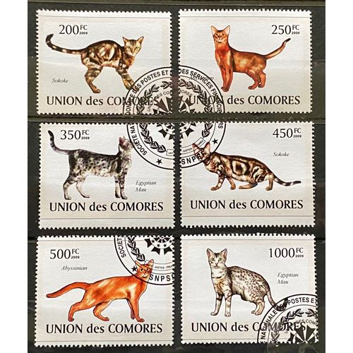 Lot De 6 Timbres Oblitérés Chats Comores 2009