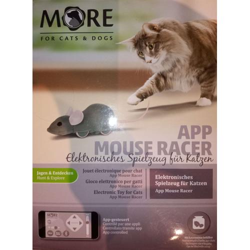 More For Cats & Dogs - App Mouse Racer