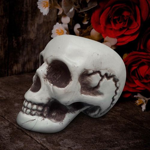 Décor d¿Halloween Squelettes d¿Halloween Plastique Réaliste Faux Simulation Crâne Humain HeadBone Modèle Halloween Prop Réaliste Mini Squelette Effrayant Hallowe