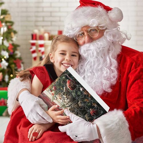 Arbre de Noël 24 jours de calendrier de Noël Boîtes aveugles 24 modèles différents de pendentifs décoratifs de Noël chats ouvrir la surprise de vacances créer un