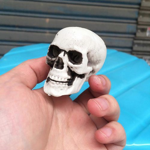Décor D¿Halloween 3pc Squelettes D¿Halloween Plastique Réaliste Faux Simulation Crâne Humain Tête-Os Modèle Halloween Prop Réaliste Mini Squelette Effrayant Ha