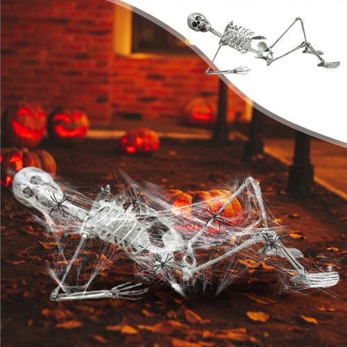 Halloween Décor 70cm Halloween Squelette Prop Humain Pleine Taille Crâne Main Corps Anatomie Modèle Décor