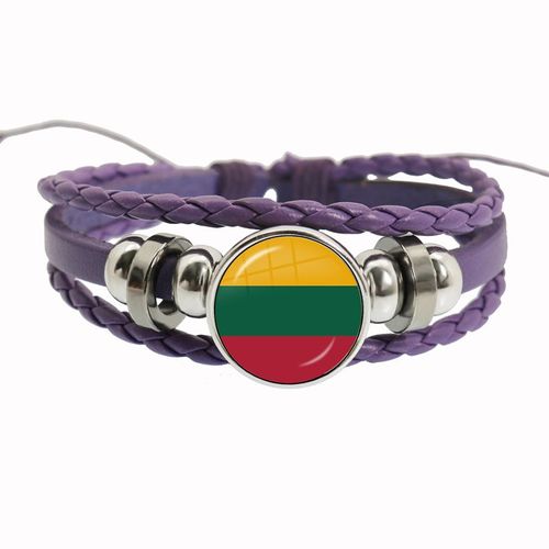Bracelet Arc-En-Ciel Lgbt Pour Lesbiennes, Gay Pride, Bracelet Tissé En Cuir Violet, Style Rétro Punk, Navire Chia, Bracelet Pour Couple, Bijoux Pour Amoureux