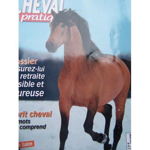 Cheval Pratique  N° 190 : Assurez-Lui Une Retraite Paisible Et Heureuse