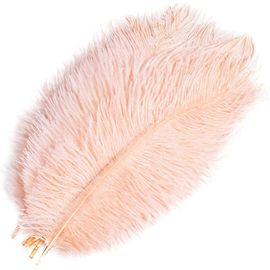 10pcs Plumes D¿Autruche Naturelles, 20-25cm, Plumes Artisanales, Plumes Colorées