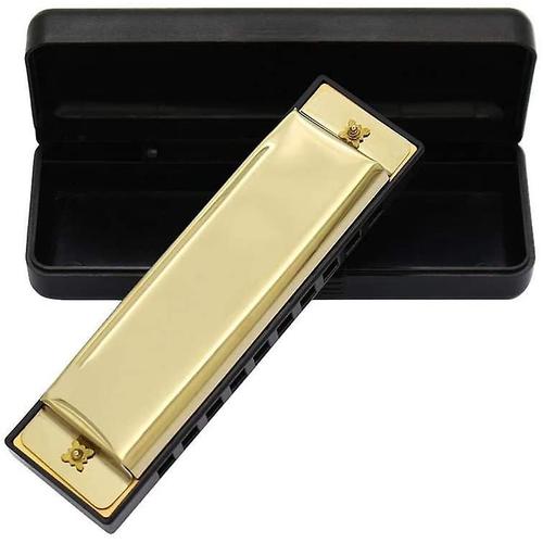 Harmonica 10 Trous 20 Tunes Professional Metal Diatonic Harmonica Débutant