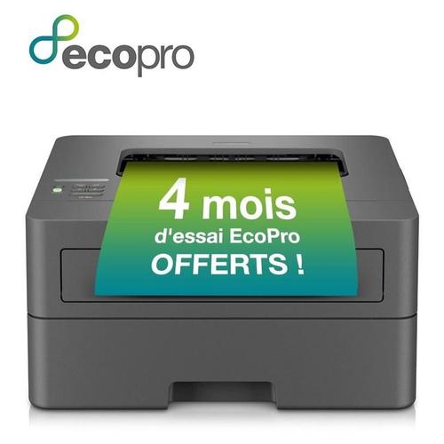 Brother HL-L2400DWE - Imprimante - Noir et blanc - Recto-verso - laser - A4/Legal - 1200 x 1200 ppp - jusqu'à 30 ppm - capacité : 250 feuilles - USB 2.0, Wi-Fi(n)