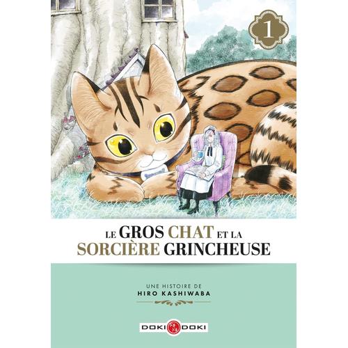 Gros Chat Et La Sorcière Grincheuse (Le) - Tome 1