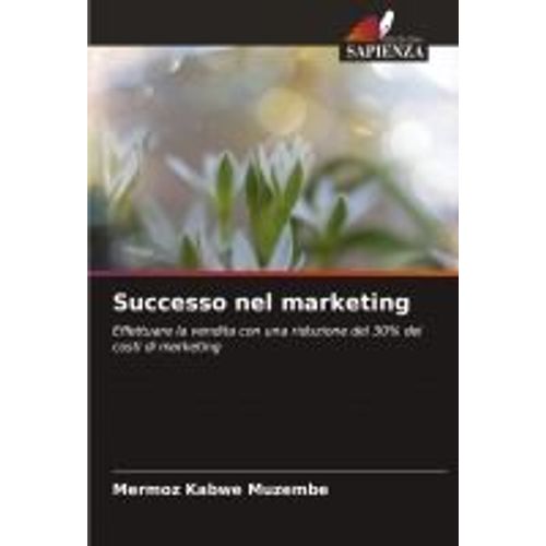 Successo Nel Marketing