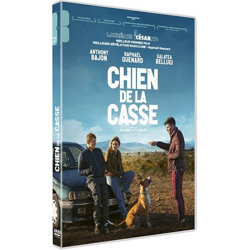 Chien De La Casse