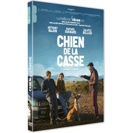 Chien De La Casse