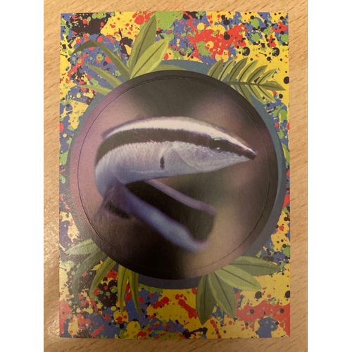 (555) Image Panini 30 Le Monde Des Animaux Mille Et Une Couleurs 