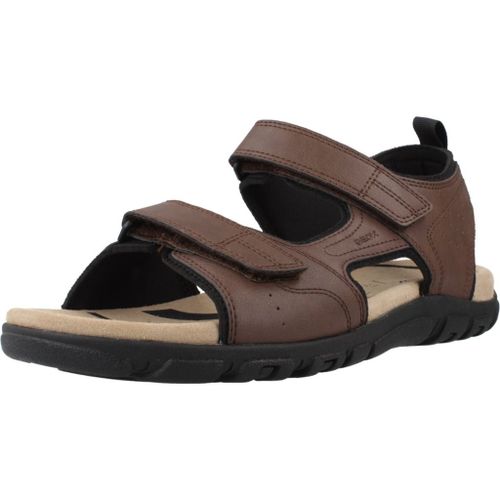 Chaussures Geox Uomo Sandal Strada Colour Marron
