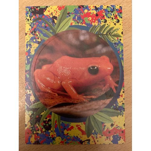(4234) Image Panini 8 Le Monde Des Animaux Mille Et Une Couleurs 