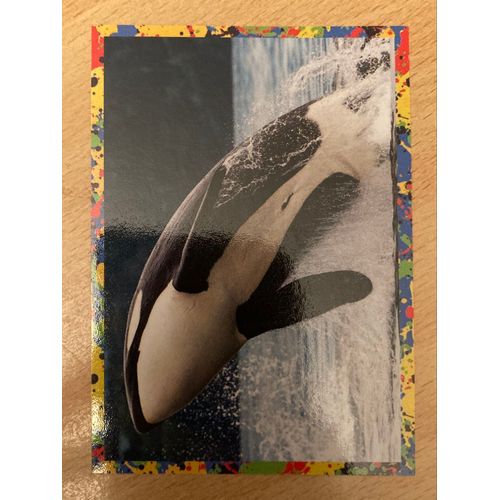 (3817) Image Panini 113 Le Monde Des Animaux Mille Et Une Couleurs 