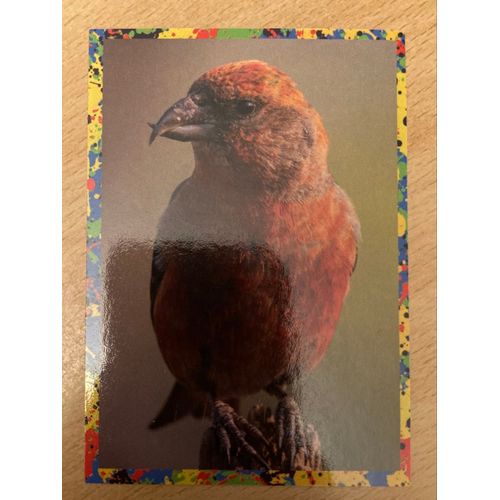 (4101) Image Panini 155 Le Monde Des Animaux Mille Et Une Couleurs 