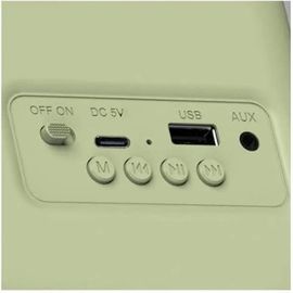 Radio portable - HAEGER - Bluetooth - Tuner radio - Haut-parleurs