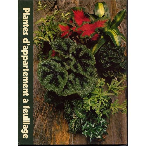 Plantes D'appartement À Feuillage