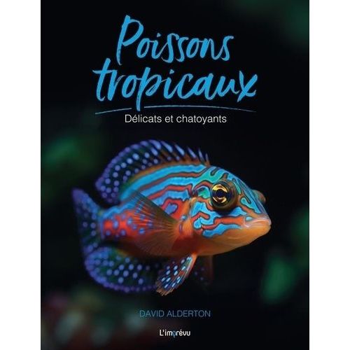 Poissons Tropicaux - Délicats Et Chatoyants